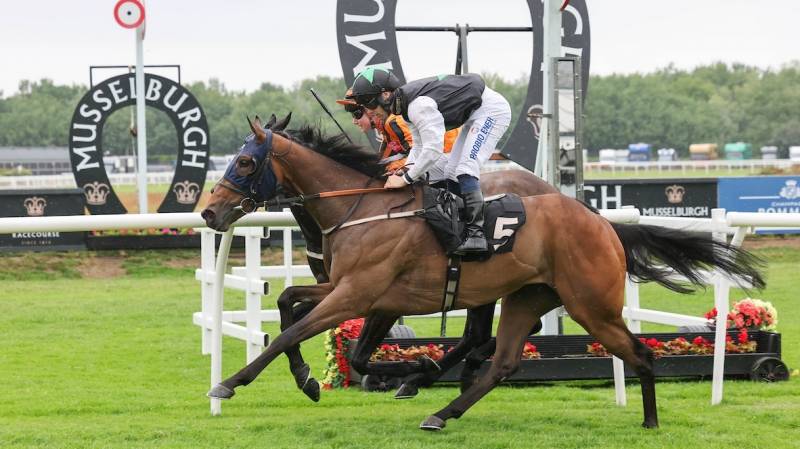 ONLY DREAM BIG wins under a penalty at Musselburgh