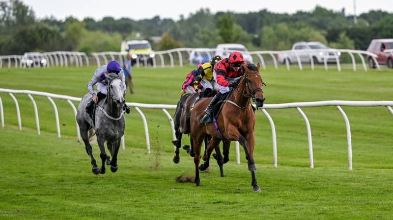 TREASURE ISLANDS makes virtually all to win at Catterick