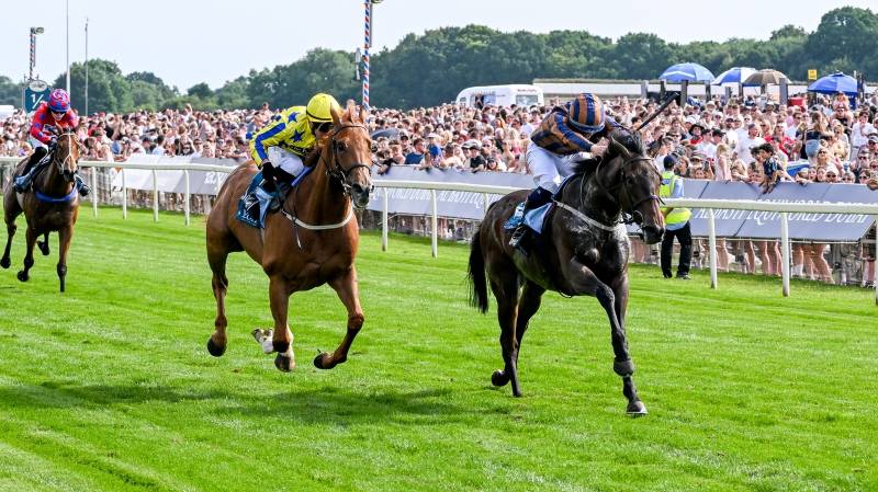 DOUBLE PARKED battles on gamely to win at York