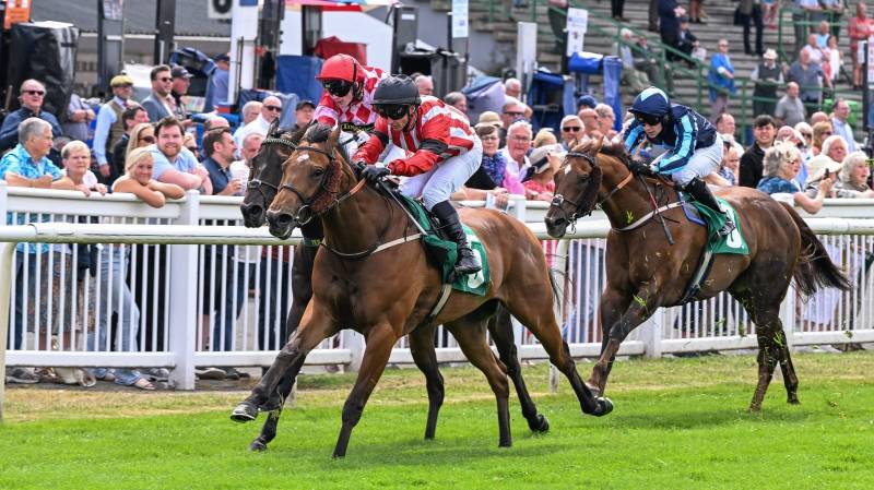 BARMYBLADE makes all to win at Thirsk