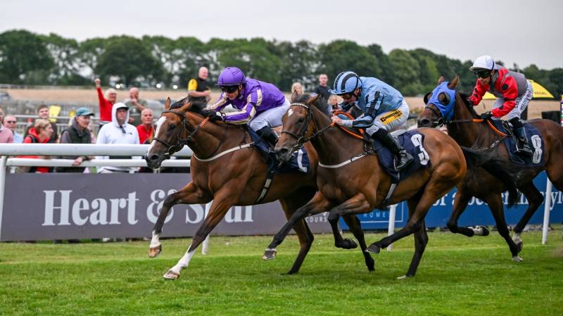 HATAMOTO gets off the mark with a win at Beverley