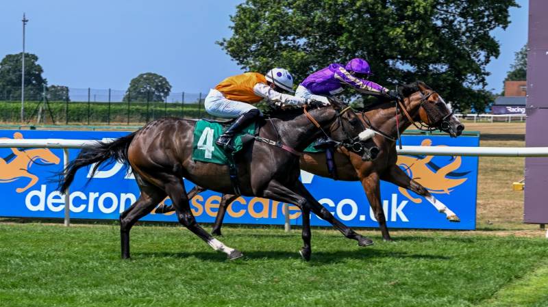 HATAMOTO wins for the second time this season