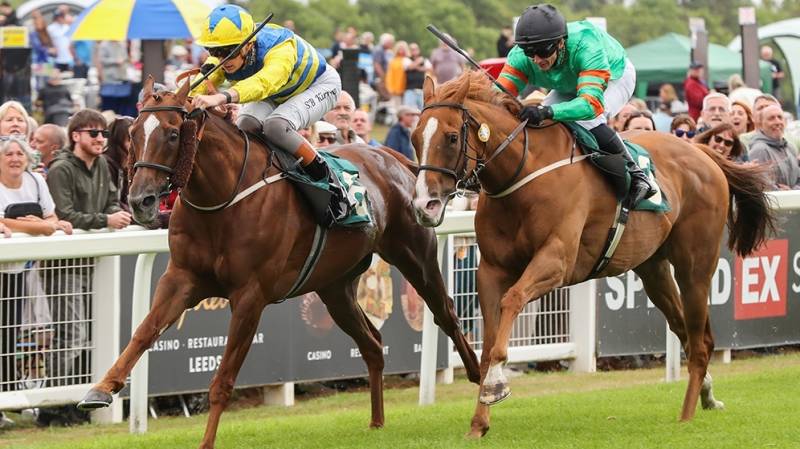 POET's DAWN wins at Ripon for his third success of the season
