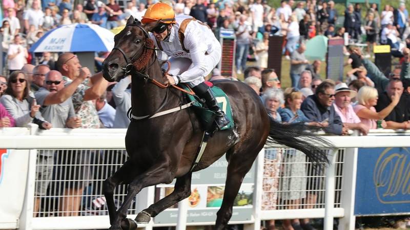 VEGA'S VIRTUE wins comfortably at Ripon under David Allan
