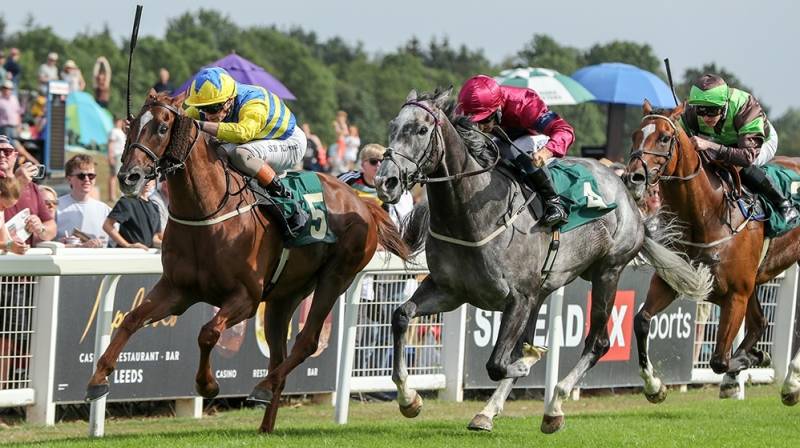 POET'S DAWN does it again with a win at Ripon