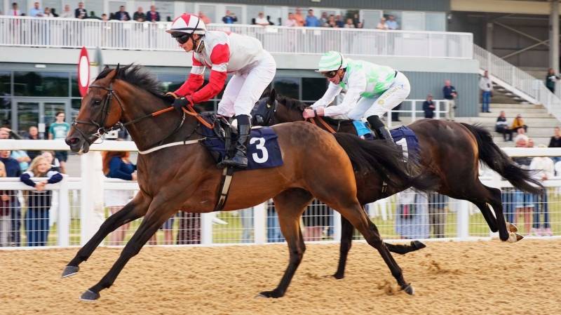MIRACULOUS finishes strongly to win at Southwell
