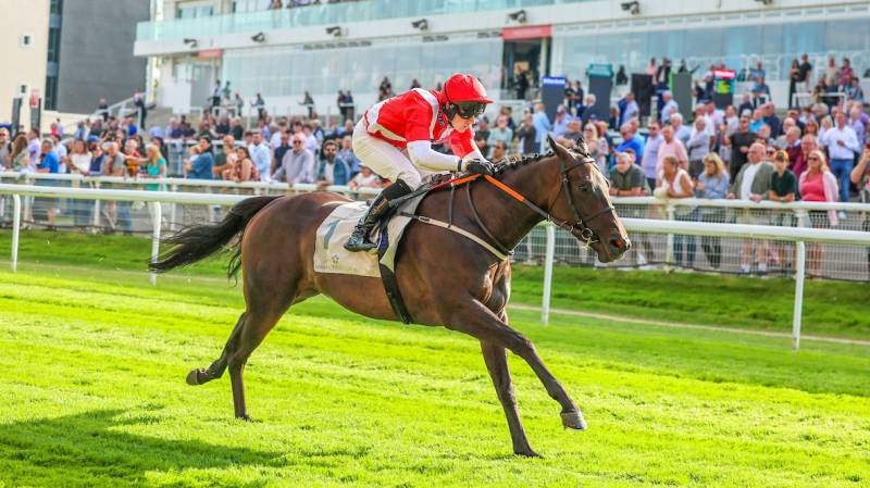 TANJEN makes all to win at Hamilton under Jake Dickson