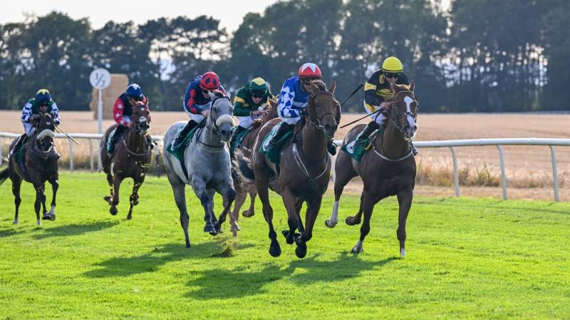 EQUITY LAW shows a great attitude to win at Thirsk