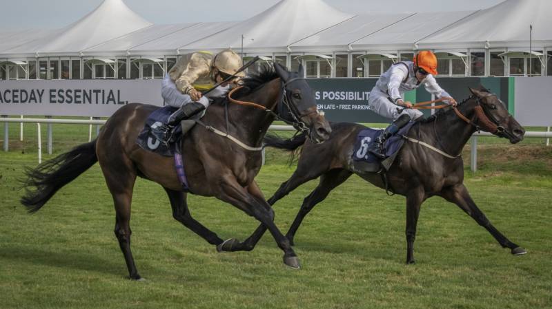VEGA'S VIRTUE wins at Doncaster under Oisin McSweeney