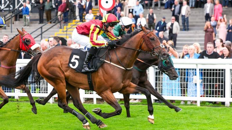 ALBEGONE runs a great race to win at Musselburgh