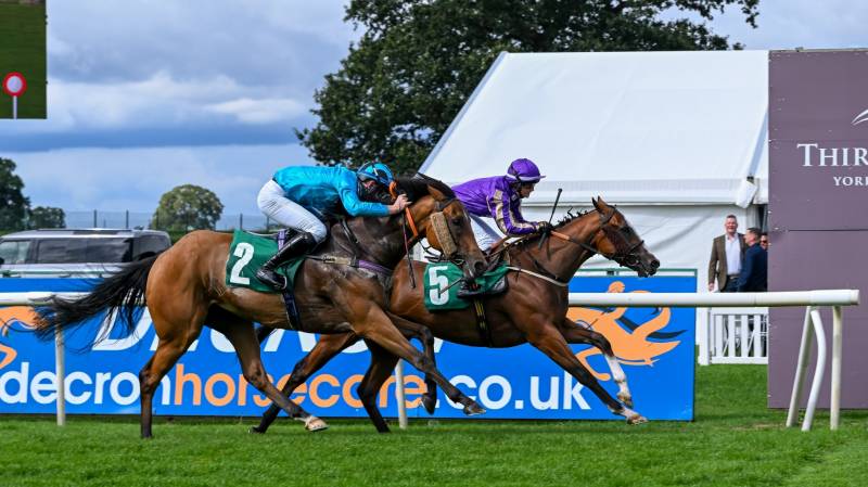 HATAMOTO makes all to win at Thirsk
