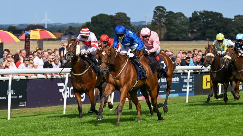 FINANCER handles the testing ground to win at Beverley