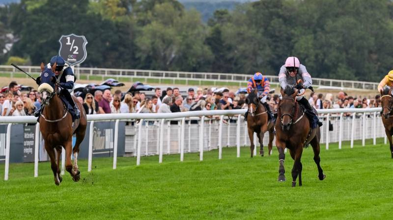 MARBUZET gets up on the line to win at Beverley