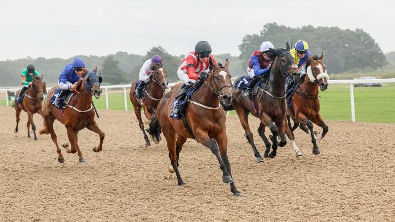 BLADEY LADY wins well on her nursery debut