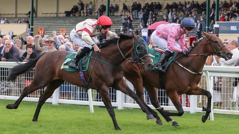 MAY BEE IN PROFIT gets a great run up the rail to win at Ripon