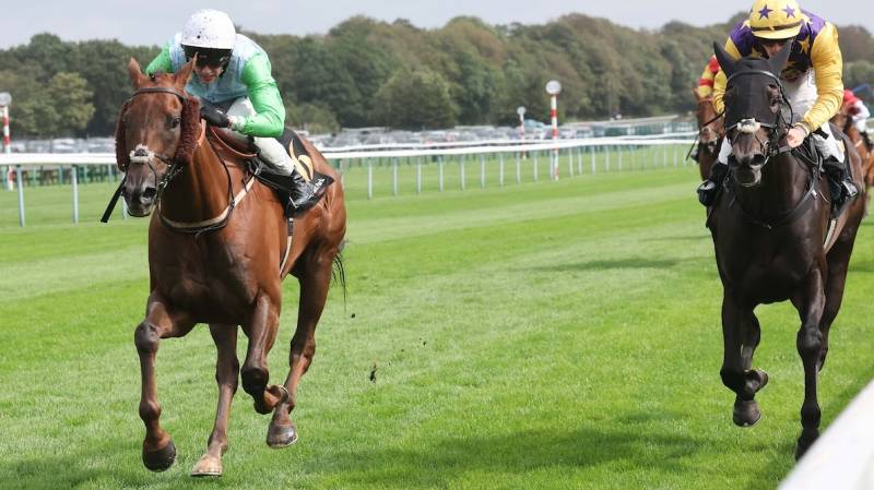 ZIMMERMAN wins at Haydock under a penalty