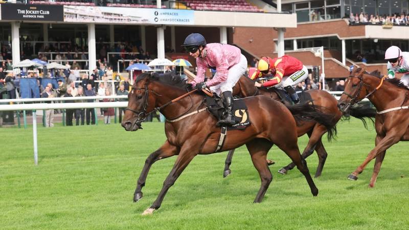 BOSTON DAN makes smooth headway to win at Haydock