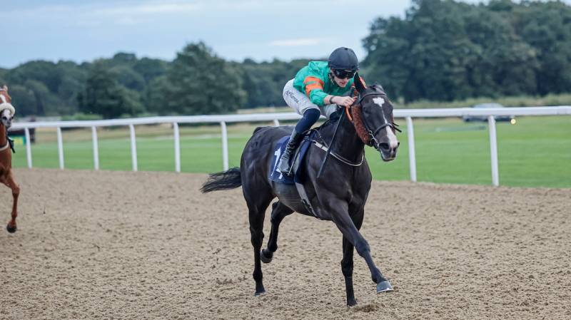 STORM ESME finishes strongly to win at Newcastle