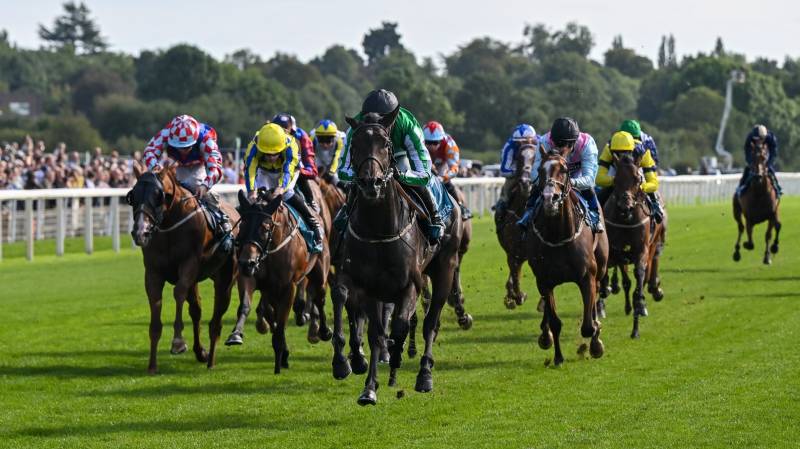 STONEACRE DONNY wins impressively at York