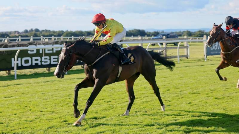 BARLEY gains a well deserved success at Carlisle