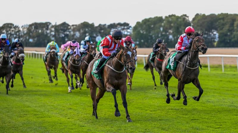 BLADEY LADY follows up on her Newcastle success