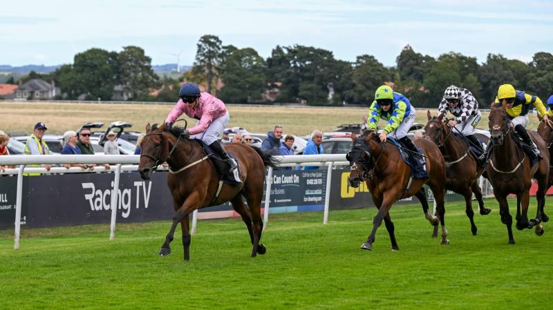 AUSTRIAN THEORY comes from the back to win at Beverley