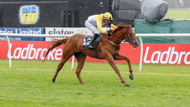 TURNSTILE defies his big odds to win at Ayr