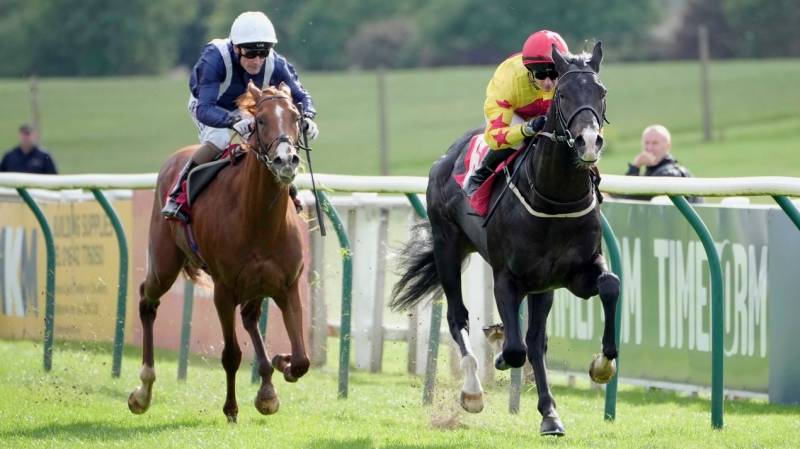 KING OF PERSIA switched to the far rail wins well at Redcar