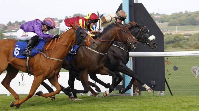 ALBEGONE gets up on the line to win at Pontefract