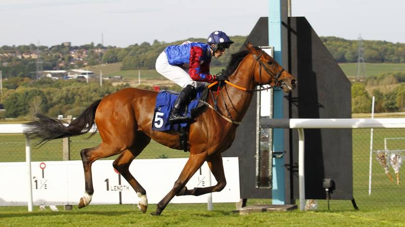 WAHDAN wins well completing a double at Pontefract