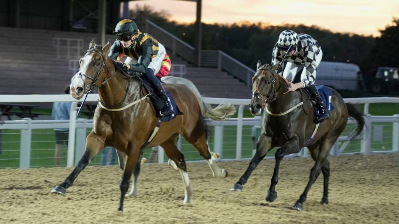 LEADING TIMES defies a penalty to win at Southwell