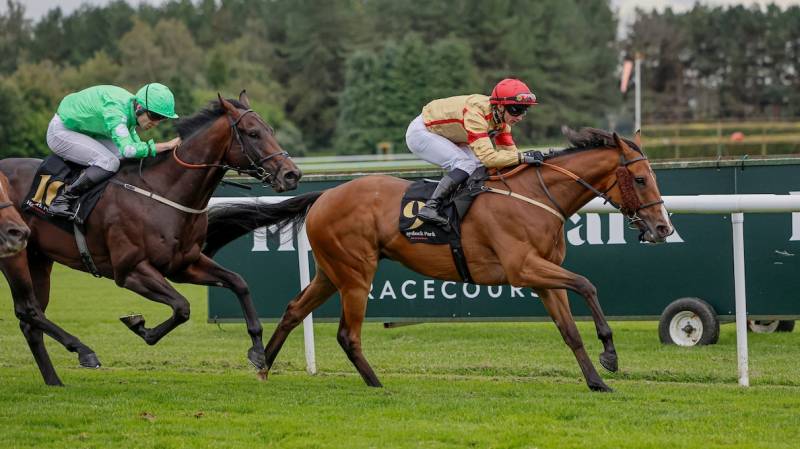 U SURE DO finishes strongly to win at Haydock