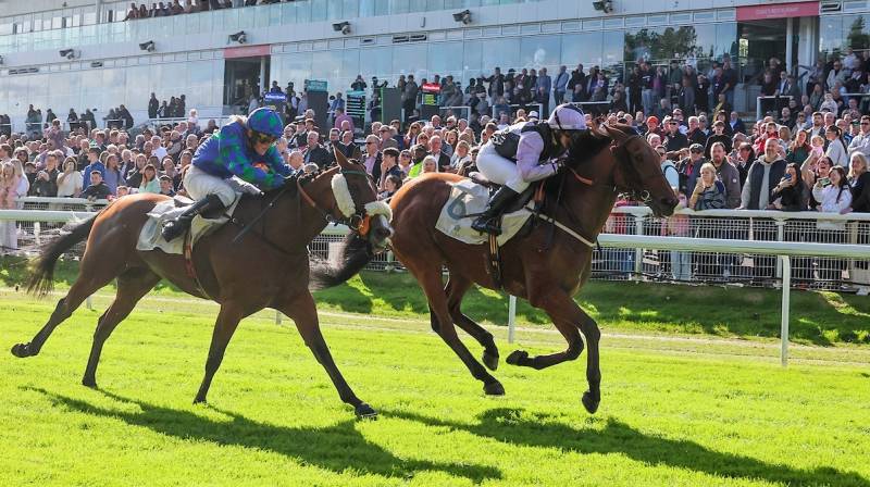 BAY BREEZE wins at Hamilton again