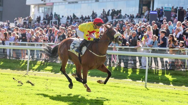 PONTE CARLO breaks his Maiden at Hamilton