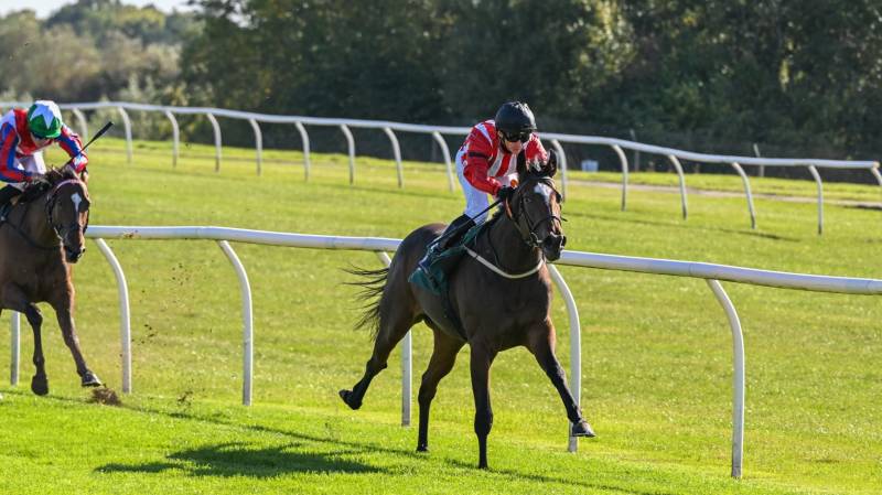BLADEY LADY wins for a third time this season