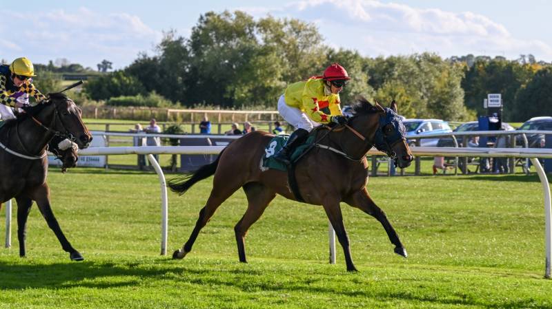 VINCE LE PRINCE makes all to win under a super David Allan ride