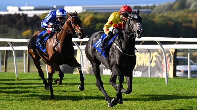 BRIGHTON BOY finishes strongly to win at Pontefract