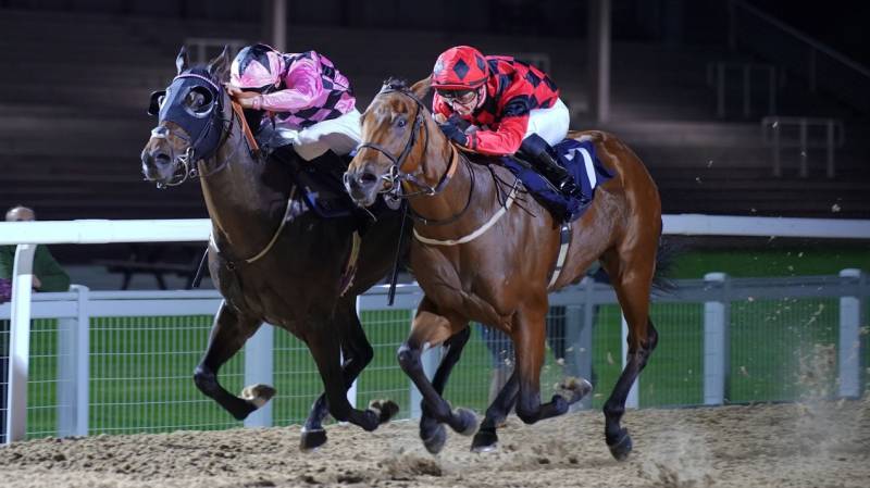 SPECTACULAR DIVER keeps finding to win at Southwell