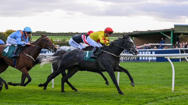 BRIGHTON BOY records his third success of the season with a win at Catterick